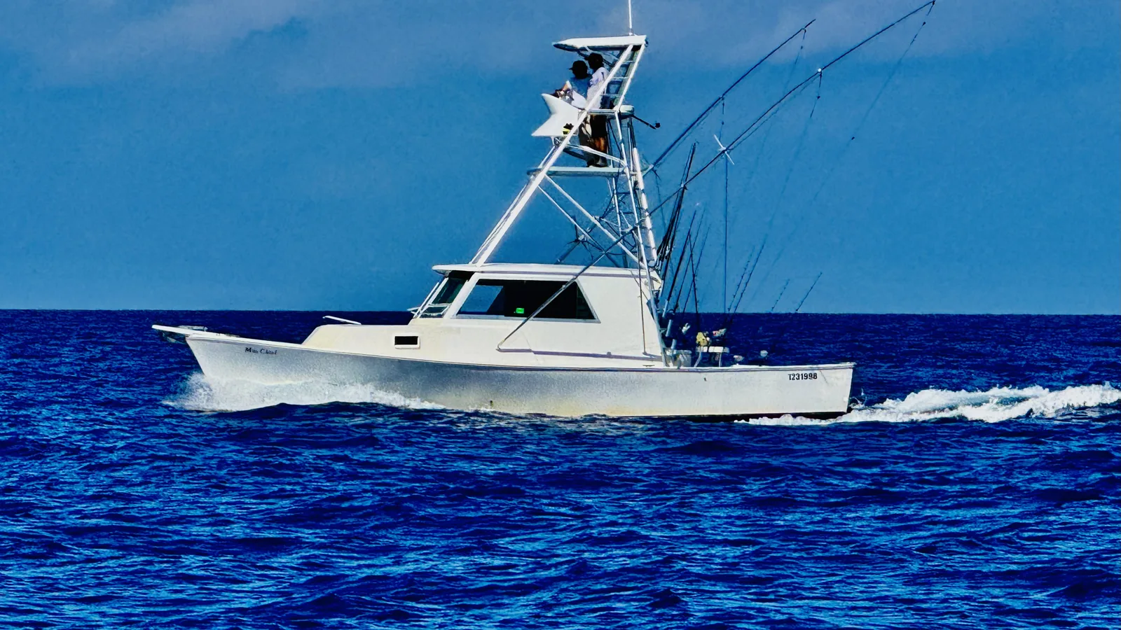 Gladiator of the Deep — Key Largo